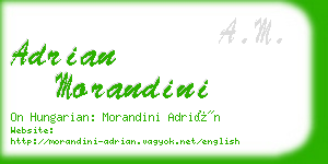 adrian morandini business card